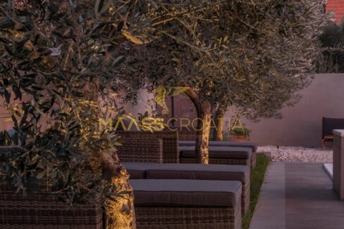 villa-m-premantura-olive-trees-garden