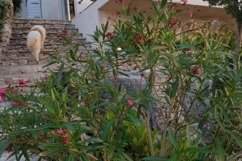 Haus am Meer auf der Insel Šolta