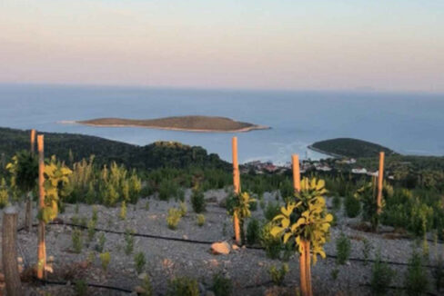 Projekt Plot - Insel Hvar