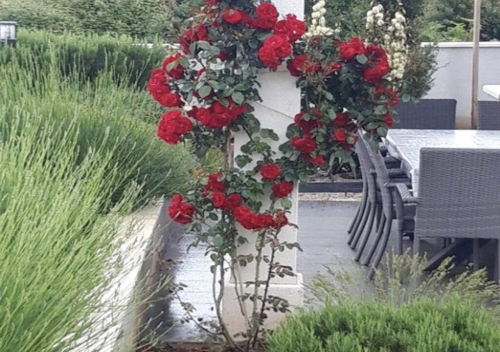 Neues modernes Haus auf der Insel Solta