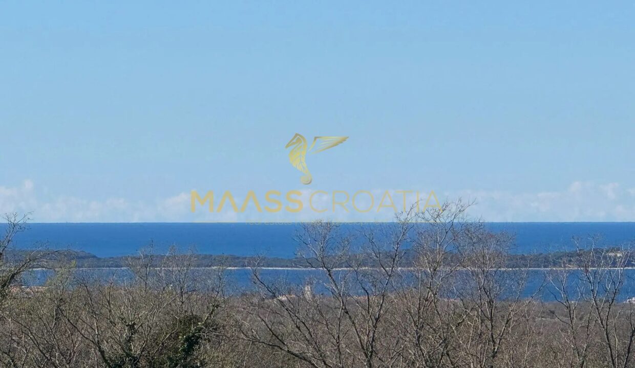 17430114-224D-47F3-83E2-C4FA8BE035B0