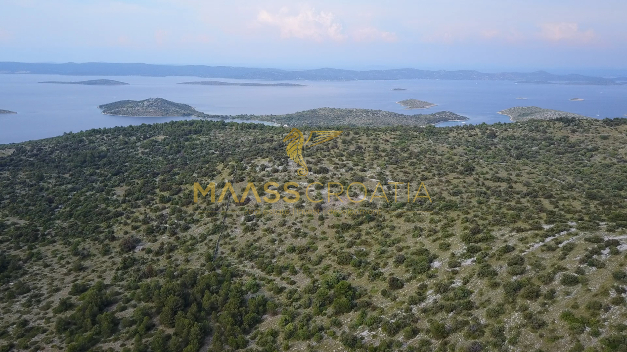 Plot- View N from S.jpg